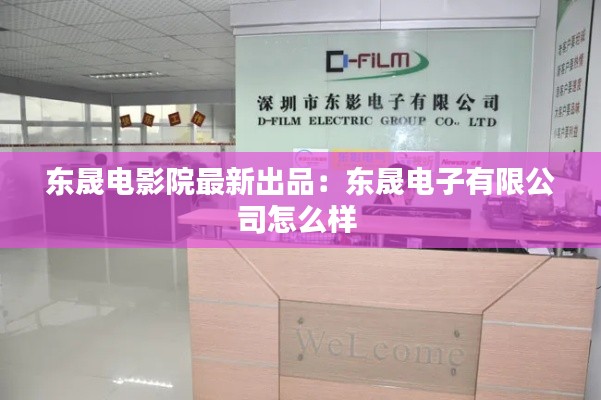 东晟电影院最新出品：东晟电子有限公司怎么样 