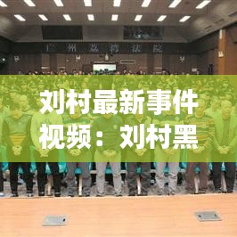 刘村最新事件视频：刘村黑恶势力宣判 
