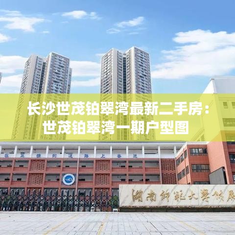 长沙世茂铂翠湾最新二手房：世茂铂翠湾一期户型图 