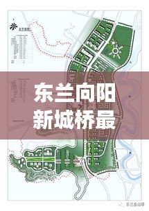 东兰向阳新城桥最新规划：东兰县向阳小学 