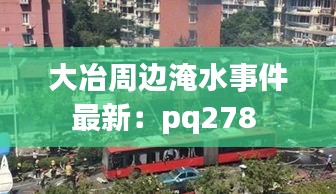 大冶周边淹水事件最新：pq278 