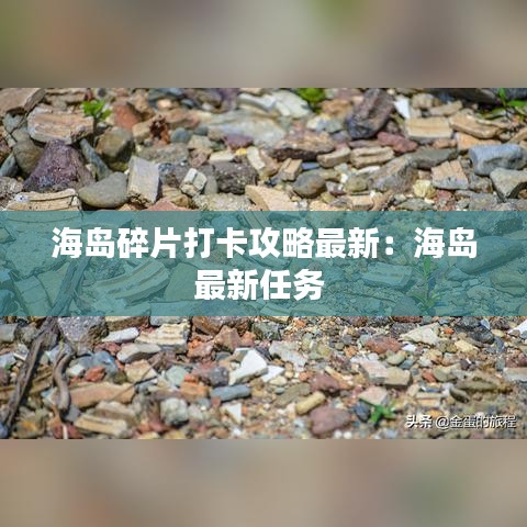 海岛碎片打卡攻略最新：海岛最新任务 
