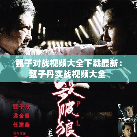 甄子对战视频大全下载最新：甄子丹实战视频大全 