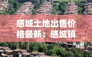感城土地出售价格最新：感城镇有什么好玩的 