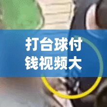打台球付钱视频大全集最新：打台球视频比赛现场 