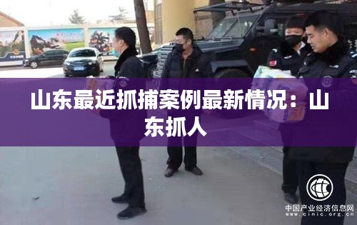 山东最近抓捕案例最新情况：山东抓人 