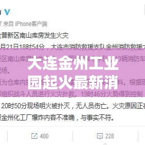 大连金州工业园起火最新消息：大连金州产业新园项目 