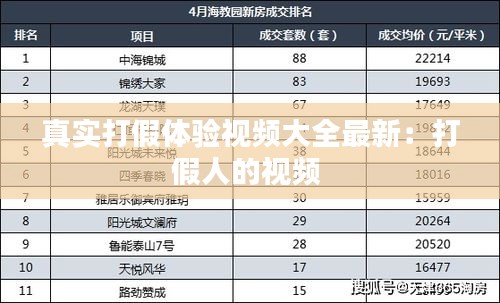 真实打假体验视频大全最新：打假人的视频 