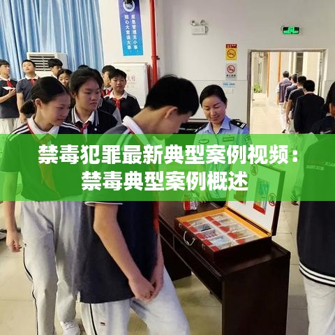 禁毒犯罪最新典型案例视频：禁毒典型案例概述 