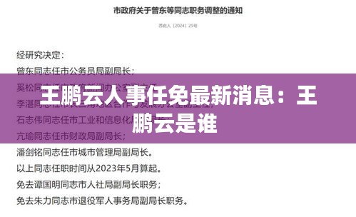 王鹏云人事任免最新消息：王鹏云是谁 