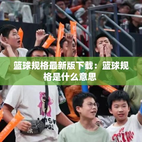 篮球规格最新版下载：篮球规格是什么意思 