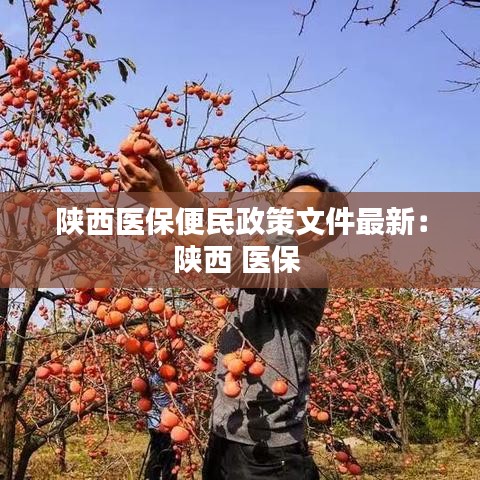 陕西医保便民政策文件最新：陕西 医保 
