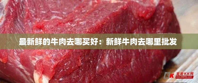 最新鲜的牛肉去哪买好：新鲜牛肉去哪里批发 