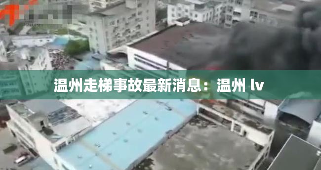 温州走梯事故最新消息：温州 lv 
