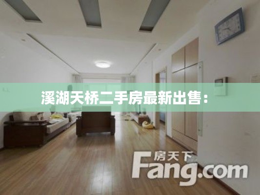 溪湖天桥二手房最新出售： 