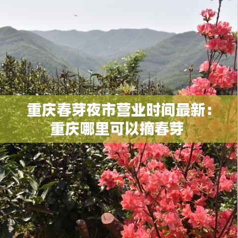 重庆春芽夜市营业时间最新：重庆哪里可以摘春芽 