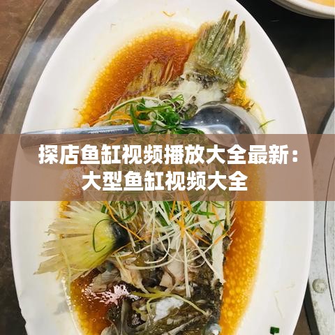 探店鱼缸视频播放大全最新：大型鱼缸视频大全 