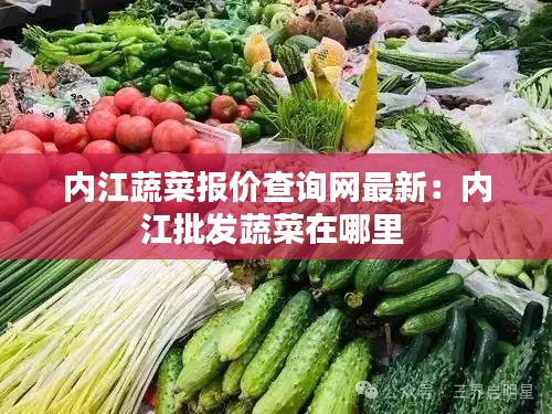 内江蔬菜报价查询网最新：内江批发蔬菜在哪里 