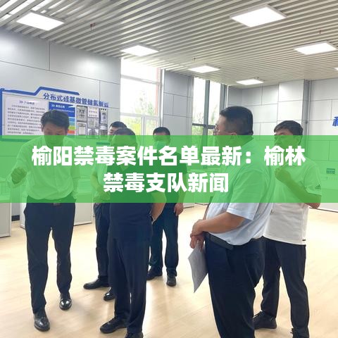 榆阳禁毒案件名单最新：榆林禁毒支队新闻 