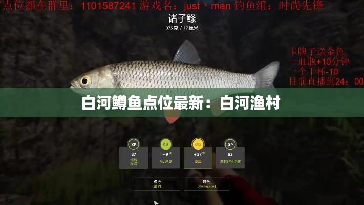 白河鳟鱼点位最新：白河渔村 