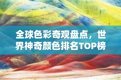 乌鸟私情 第3页