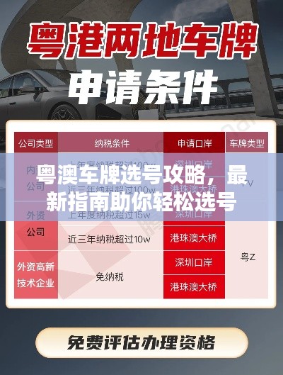 大张旗鼓 第2页