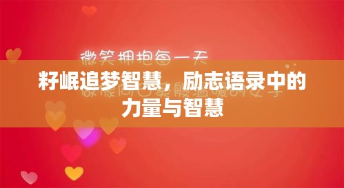 籽岷追梦智慧，励志语录中的力量与智慧