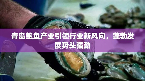 青岛鲍鱼产业引领行业新风向，蓬勃发展势头强劲
