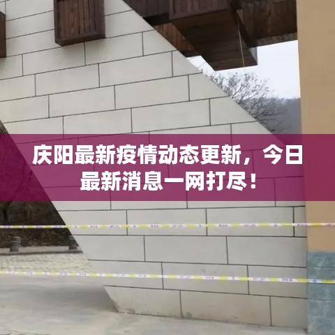 庆阳最新疫情动态更新，今日最新消息一网打尽！