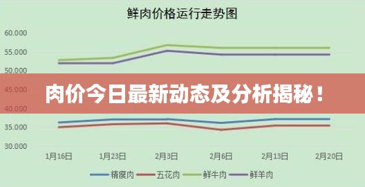 肉价今日最新动态及分析揭秘！