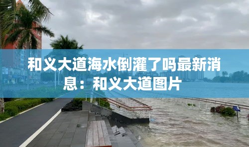 和义大道海水倒灌了吗最新消息：和义大道图片 