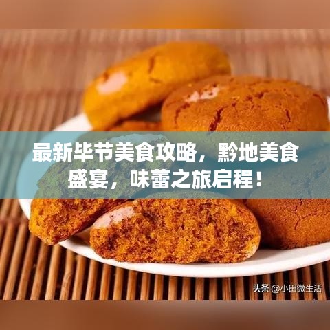 最新毕节美食攻略，黔地美食盛宴，味蕾之旅启程！