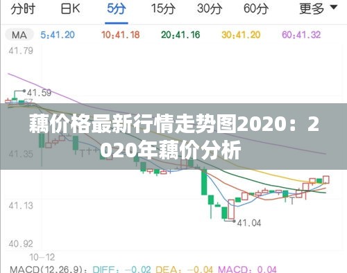 藕价格最新行情走势图2020：2020年藕价分析 