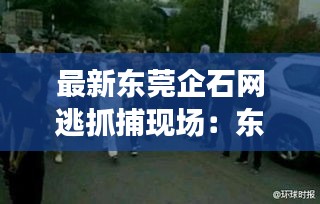 最新东莞企石网逃抓捕现场：东莞企石近期新闻 