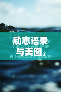 励志语录与美图，生活波澜中的力量之源