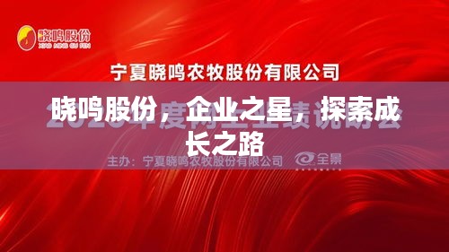晓鸣股份，企业之星，探索成长之路