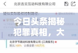 今日头条揭秘犯罪真相，大红鱼最新消息曝光