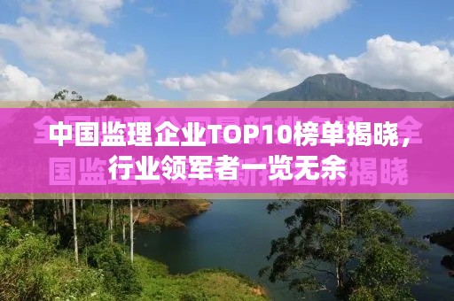 中国监理企业TOP10榜单揭晓，行业领军者一览无余