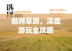 驰骋草原，深度游玩全攻略