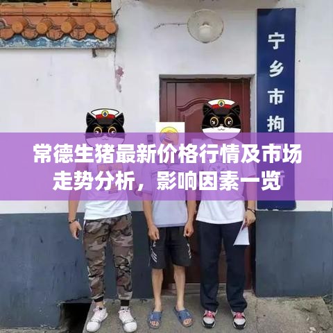 常德生猪最新价格行情及市场走势分析，影响因素一览