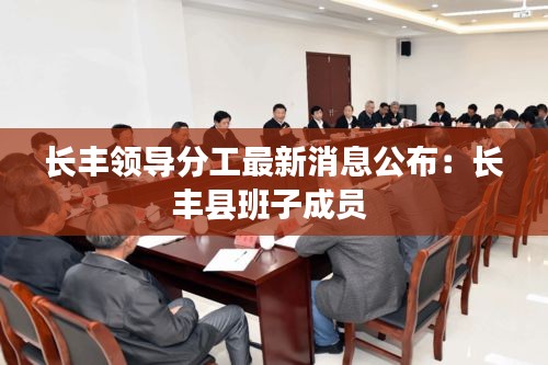 长丰领导分工最新消息公布：长丰县班子成员 