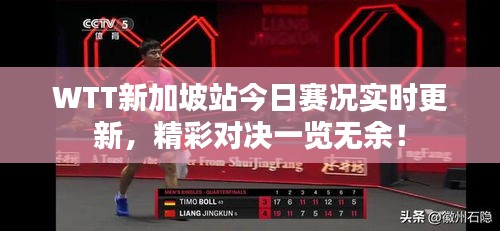 WTT新加坡站今日赛况实时更新，精彩对决一览无余！