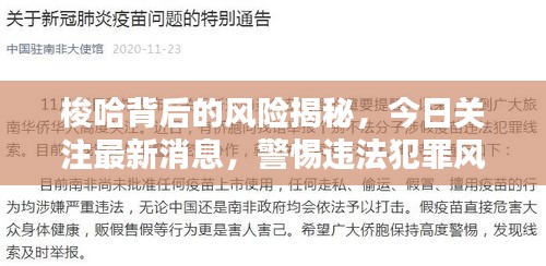 梭哈背后的风险揭秘，今日关注最新消息，警惕违法犯罪风险