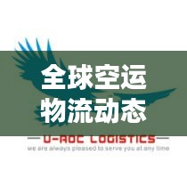 全球空运物流动态实时更新，今日空运指数最新查询结果揭秘