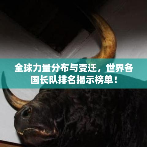 全球力量分布与变迁，世界各国长队排名揭示榜单！