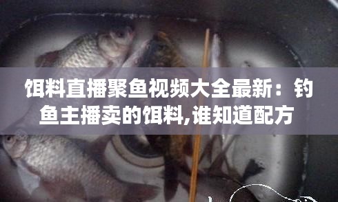 饵料直播聚鱼视频大全最新：钓鱼主播卖的饵料,谁知道配方 