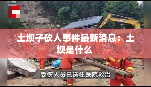土坝子砍人事件最新消息：土坝是什么 