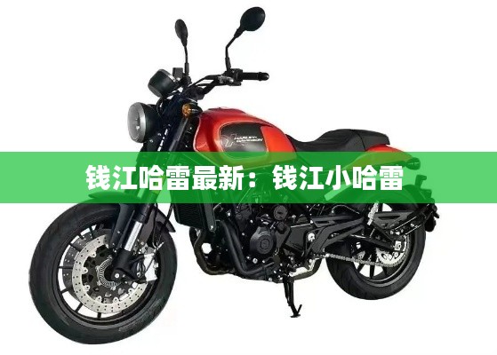 钱江哈雷最新：钱江小哈雷 