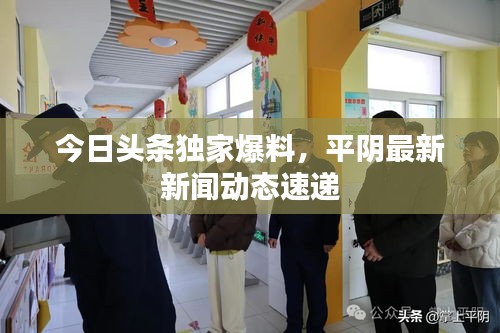今日头条独家爆料，平阴最新新闻动态速递