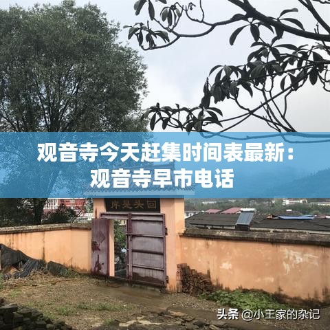 观音寺今天赶集时间表最新：观音寺早市电话 